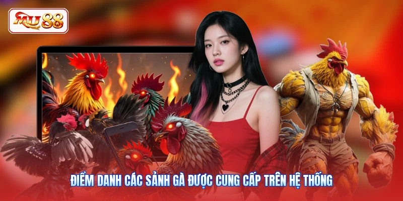 Điểm danh các sảnh gà được cung cấp trên hệ thống