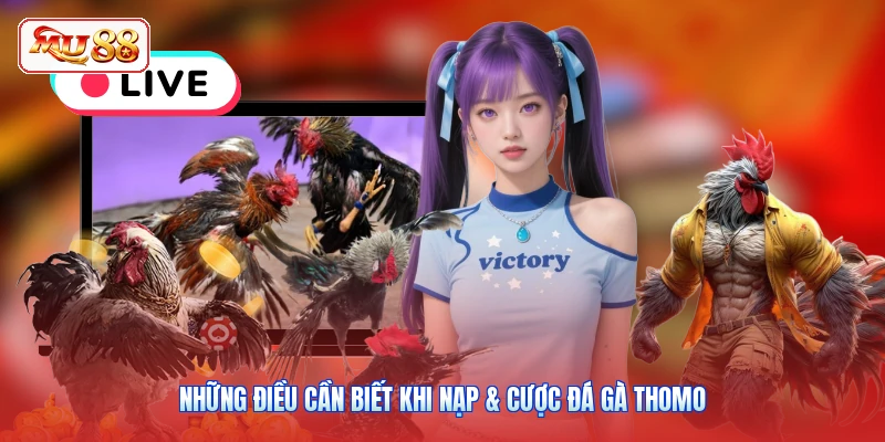 Những điều cần biết khi nạp & cược đá gà Thomo