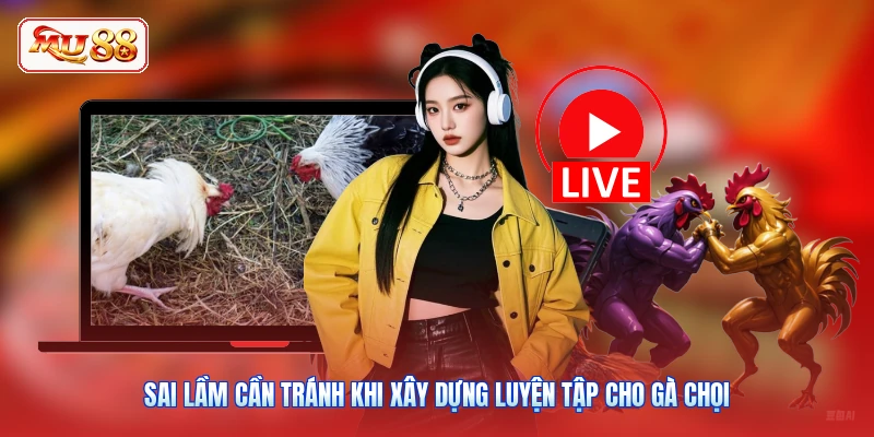 Sai lầm cần tránh khi xây dựng luyện tập cho gà chọi